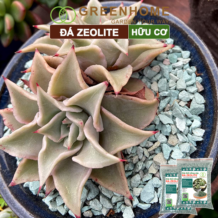 Đá zeolite Greenhome, size 3-6mm, rãi mặt, giá thể, sen đá, xương rồng, hồ thuỷ sinh