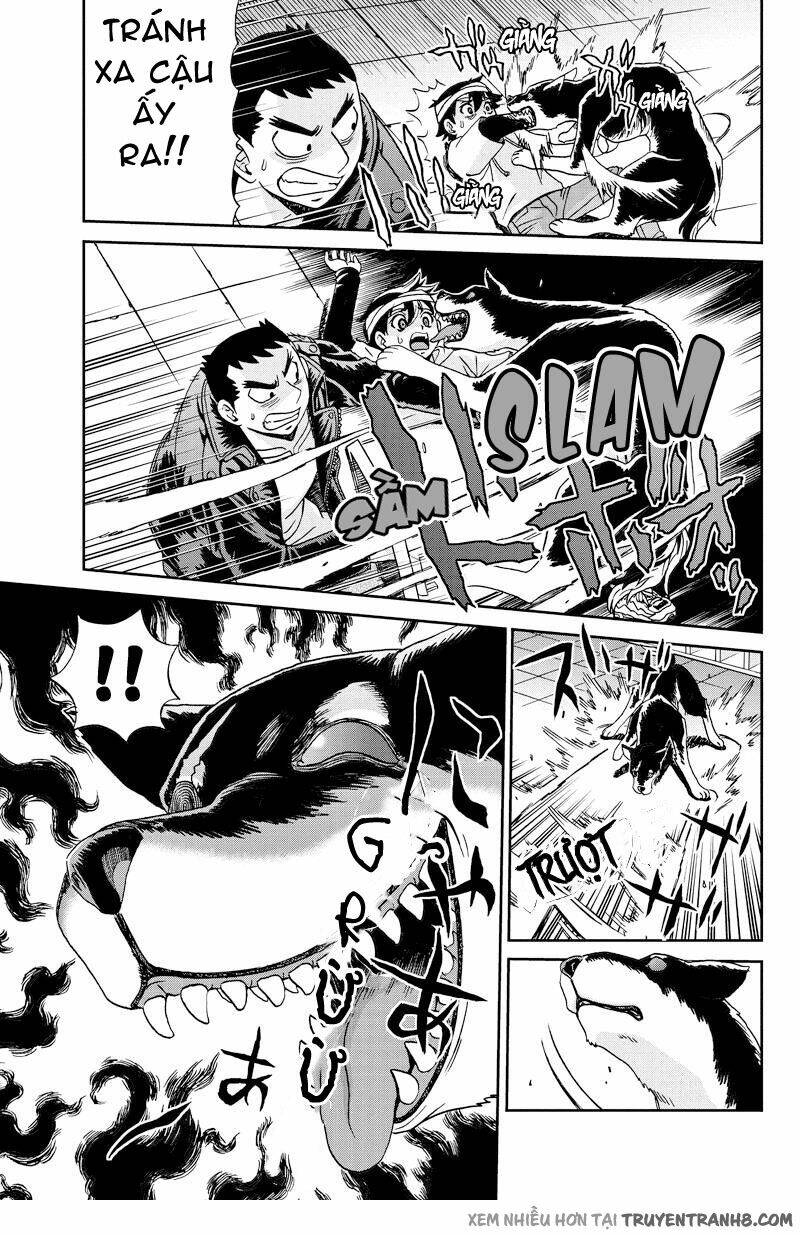 lý do sống còn chapter 15 4