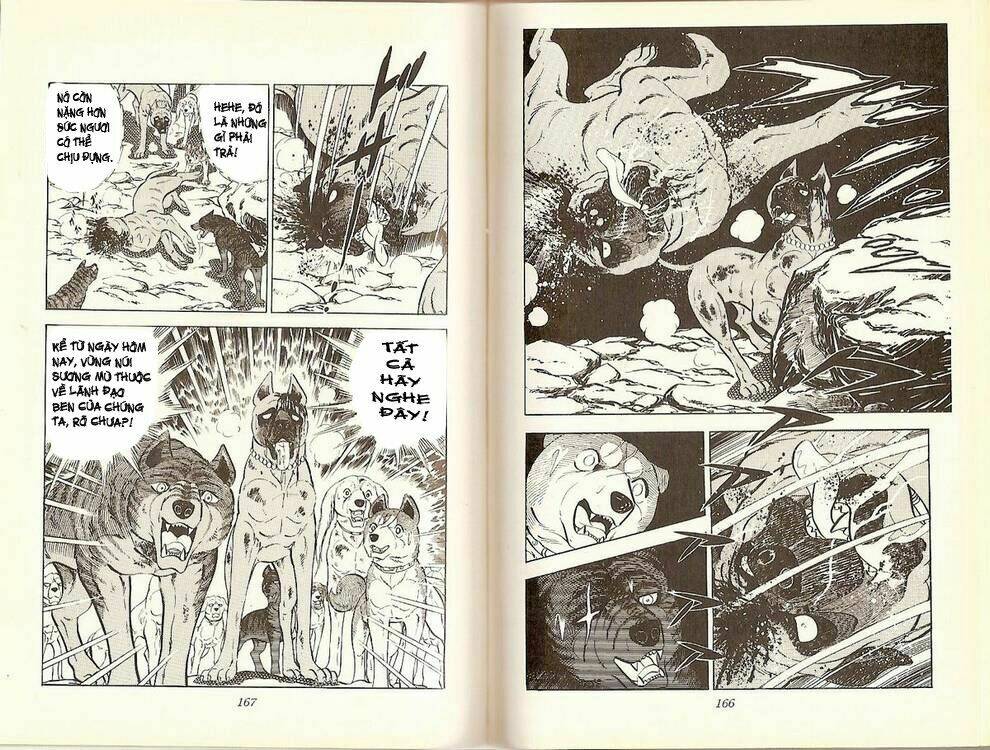 chú chó có nghĩa - ginga nagareboshi gin chapter 16 31