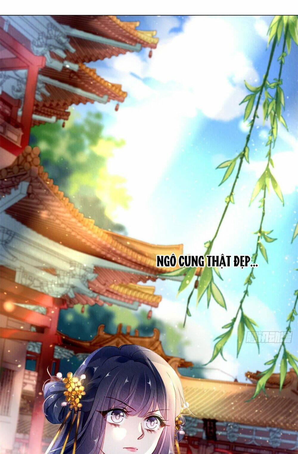 vấn đan chu chapter 13 9