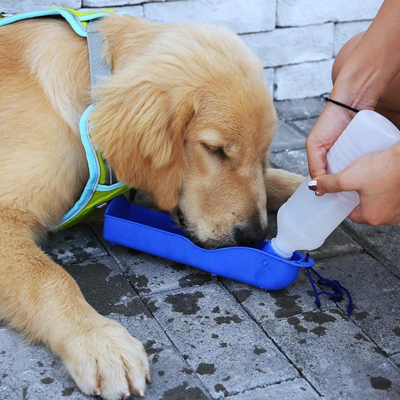 Bình Đựng Nước Uống Bằng Nhựa Màu Xanh Dương Di Động Cho Chó Cưng Đi Bộ ZOEBR MM