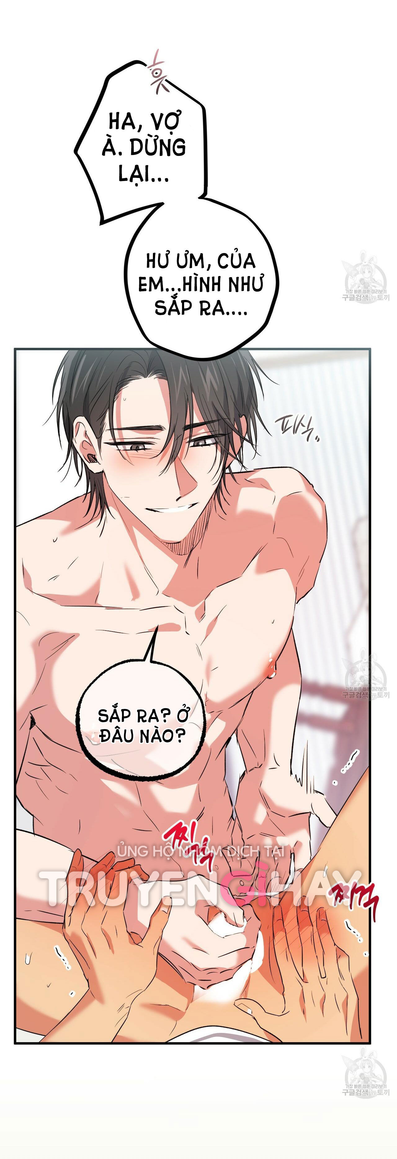 những chú thỏ của hapypy chapter 54.2 12