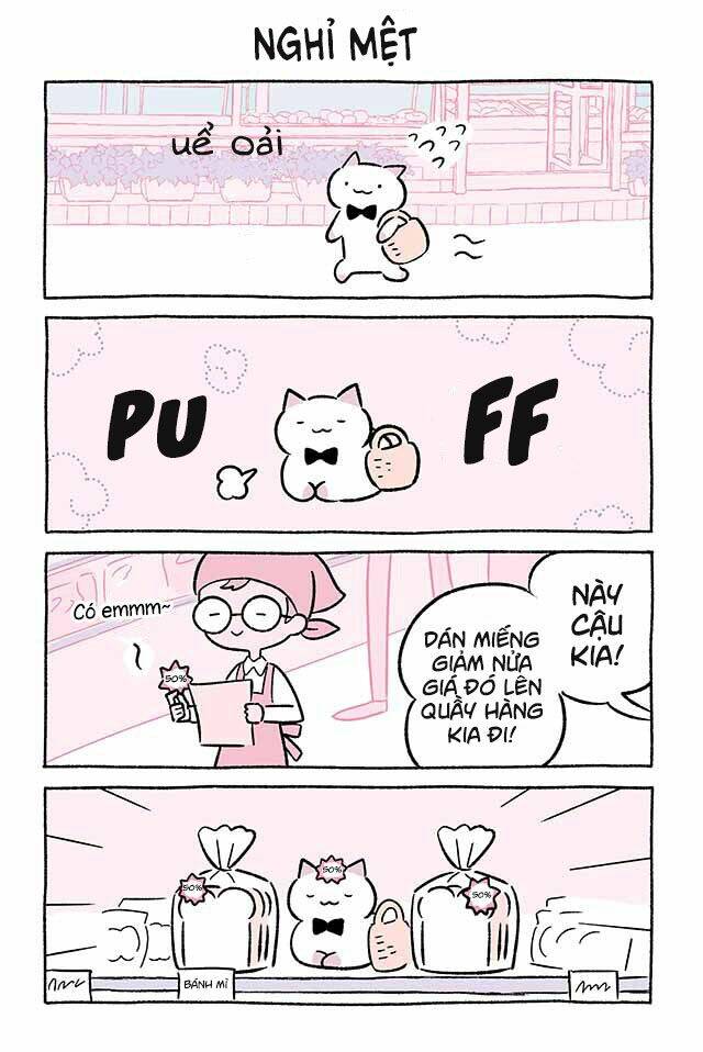 chú mèo kỳ diệu kyuu-chan chapter 489 2