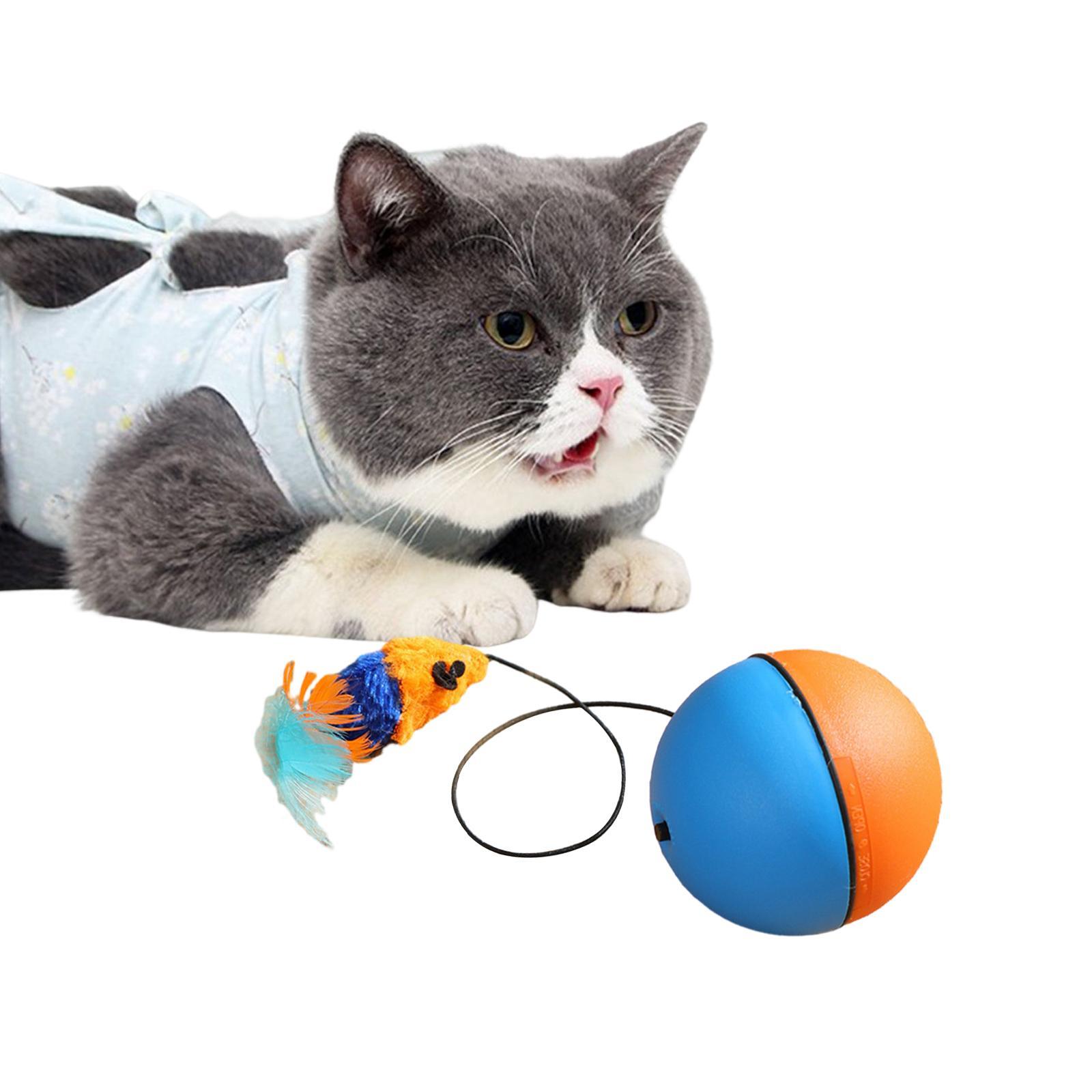 Interactive Toy Interactive Cat Toys Ball Teaser Toys Catcher Toy Feather Toy Electric Cat Balls for Cats Exercise