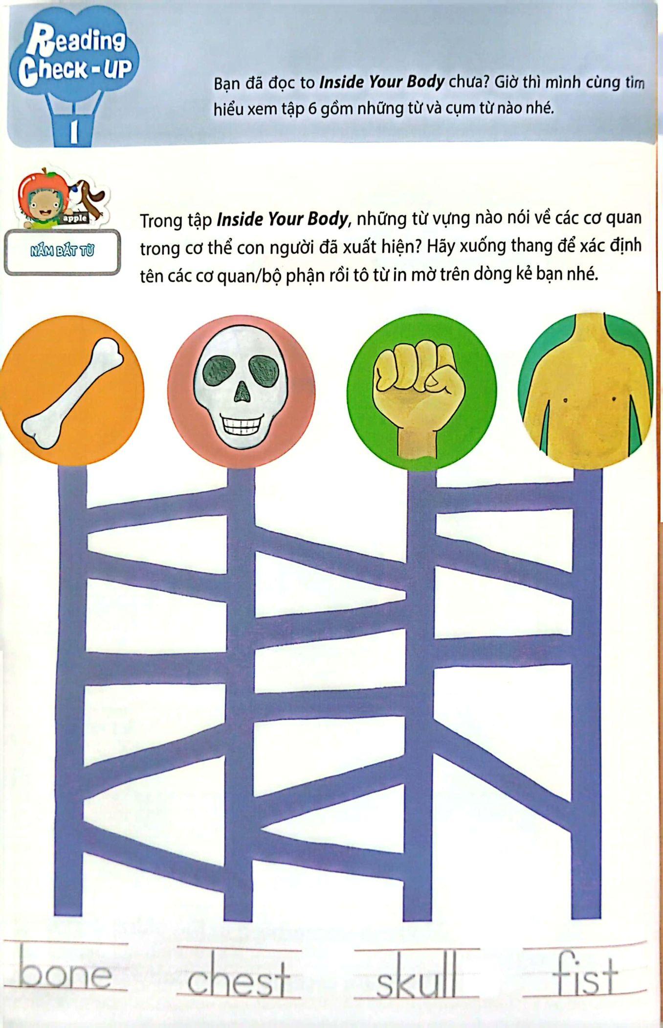 Sách All Story - Inside Your Body - Bên Trong Cơ Thể Bạn - Trình Độ 2 (Tập 6)
