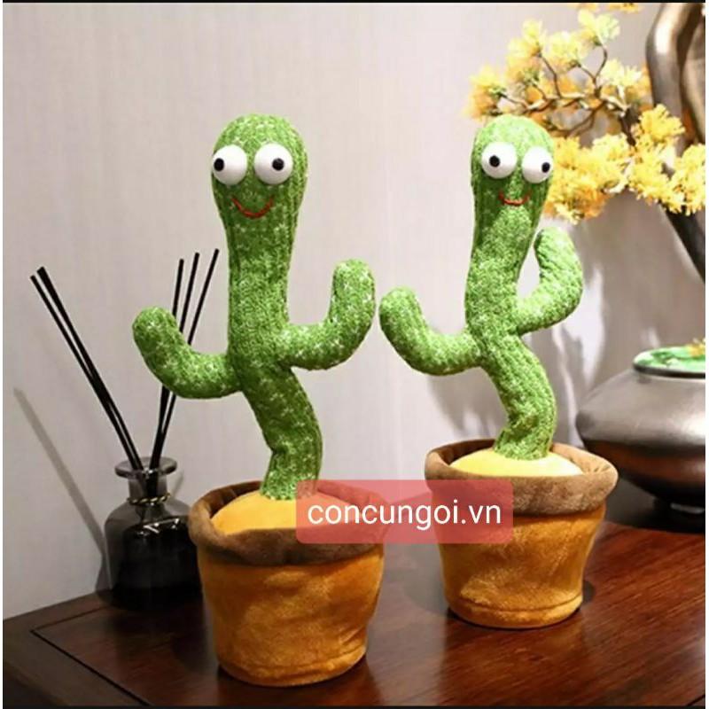 Cây xương rồng nhảy, hát và nhại giọng - SP354198