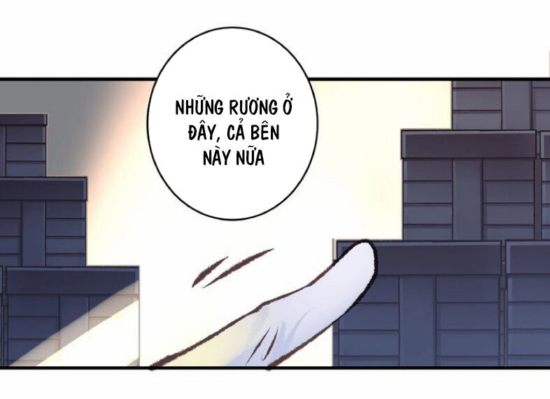 khanh như tơ chapter 62 41