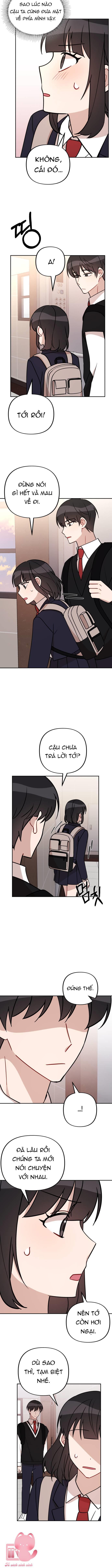 cú đấm tình yêu chapter 3 13