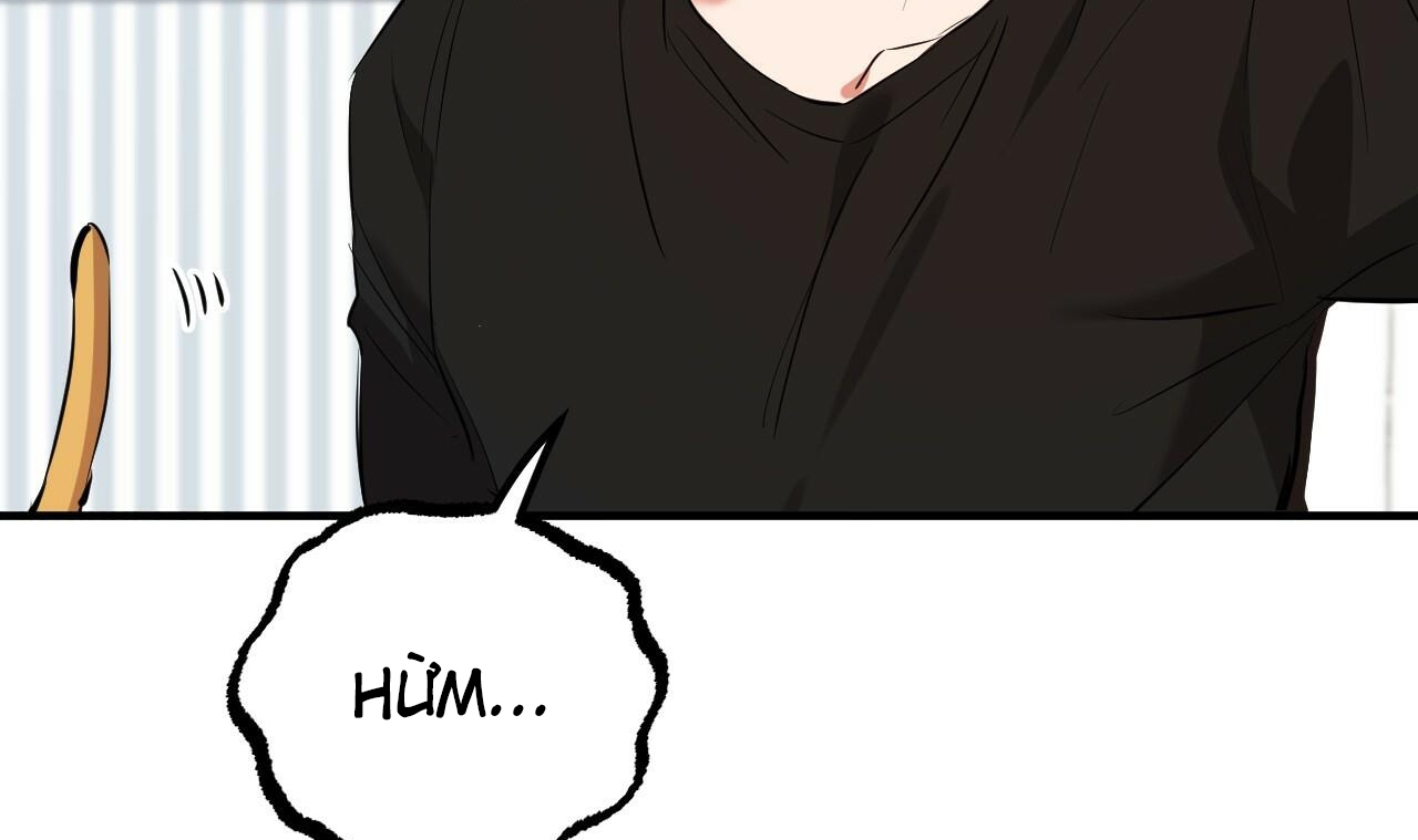 những chú thỏ của hapypy chapter 51 203