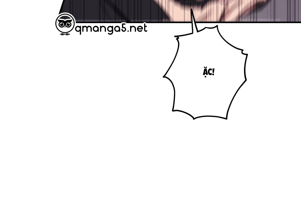 chàng dâu nhà họ kang chapter 34 41