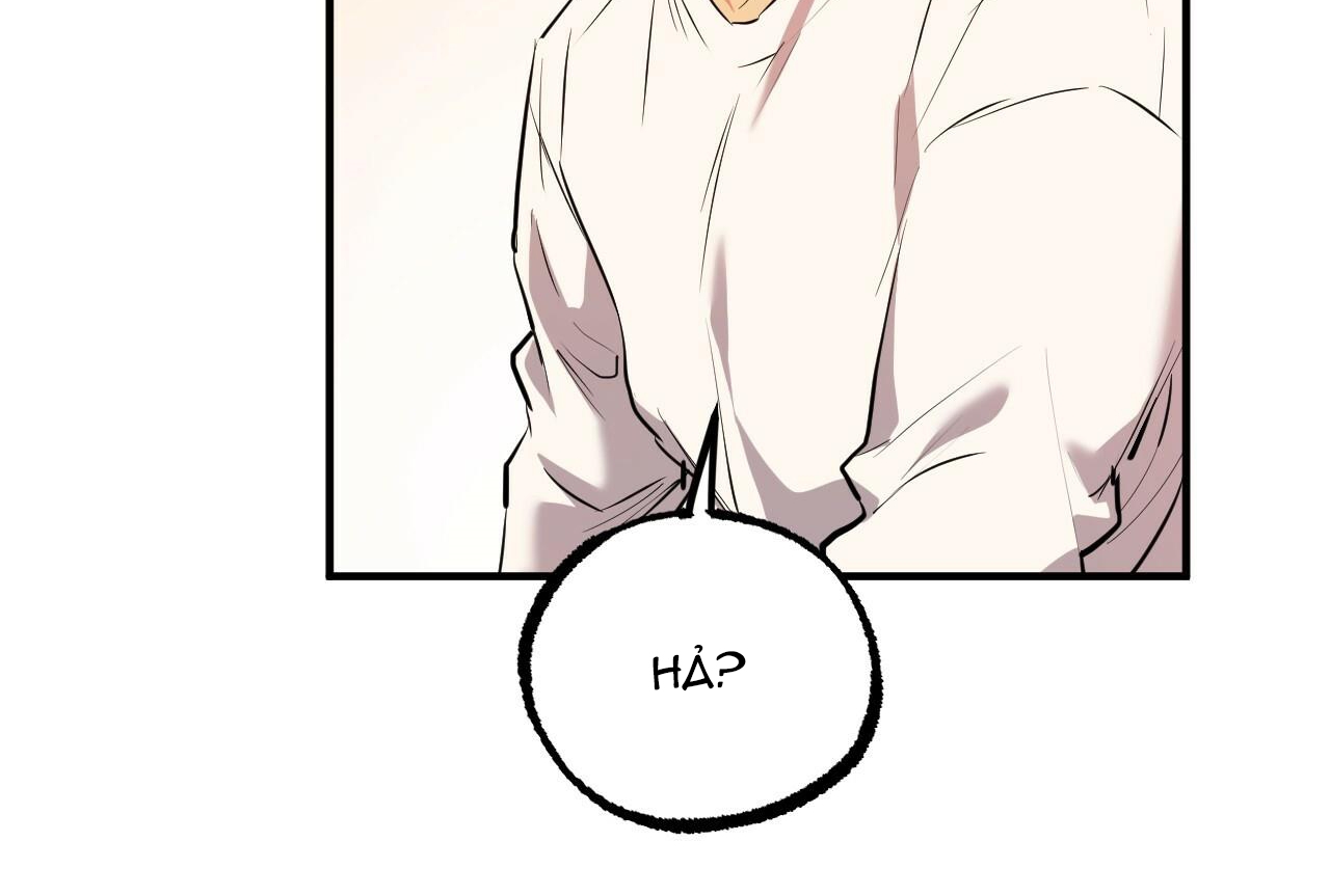 đàn thỏ của habibi chapter 35 207