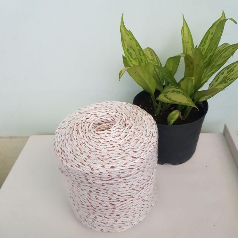 Dây thừng chuyên giăng giàn cây leo 200 mét|| 1kg