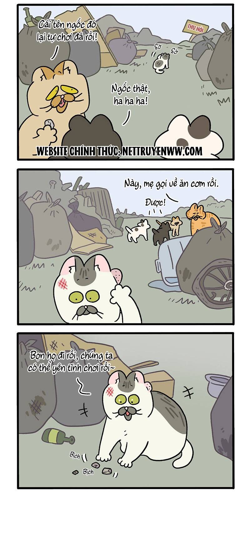 a mãn và mạch trà chapter 50.2 2