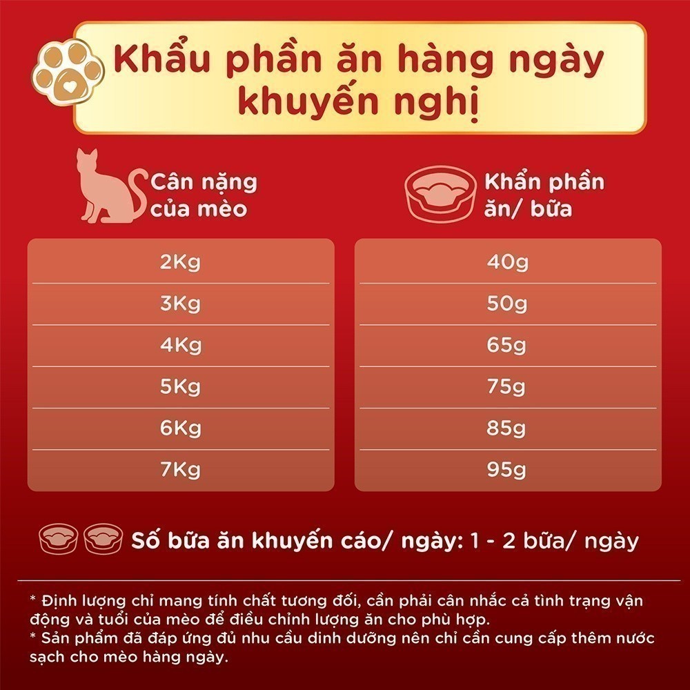 Thức ăn hạt cho mèo Silver Spoon - Giảm nôn trớ 800g