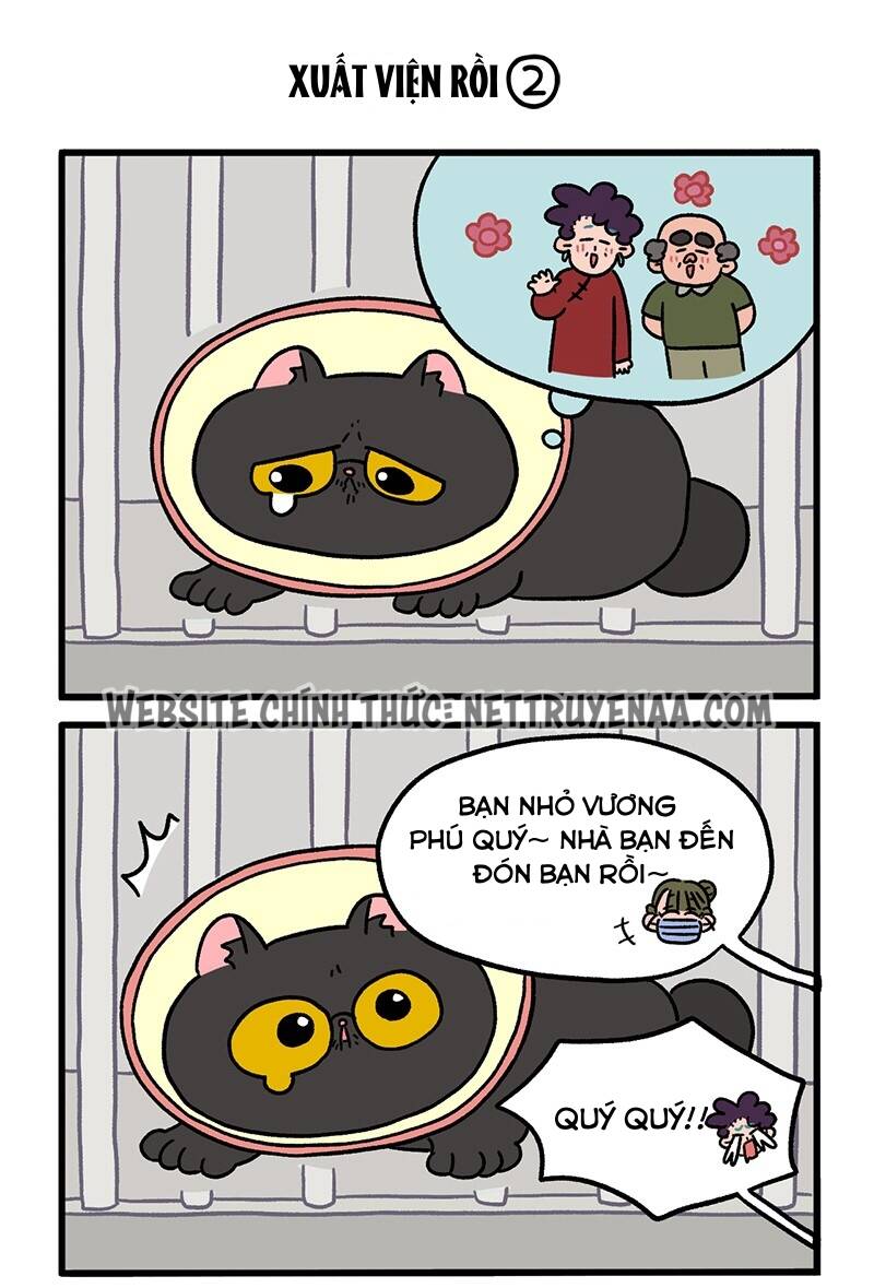 a mãn và mạch trà chapter 21 3