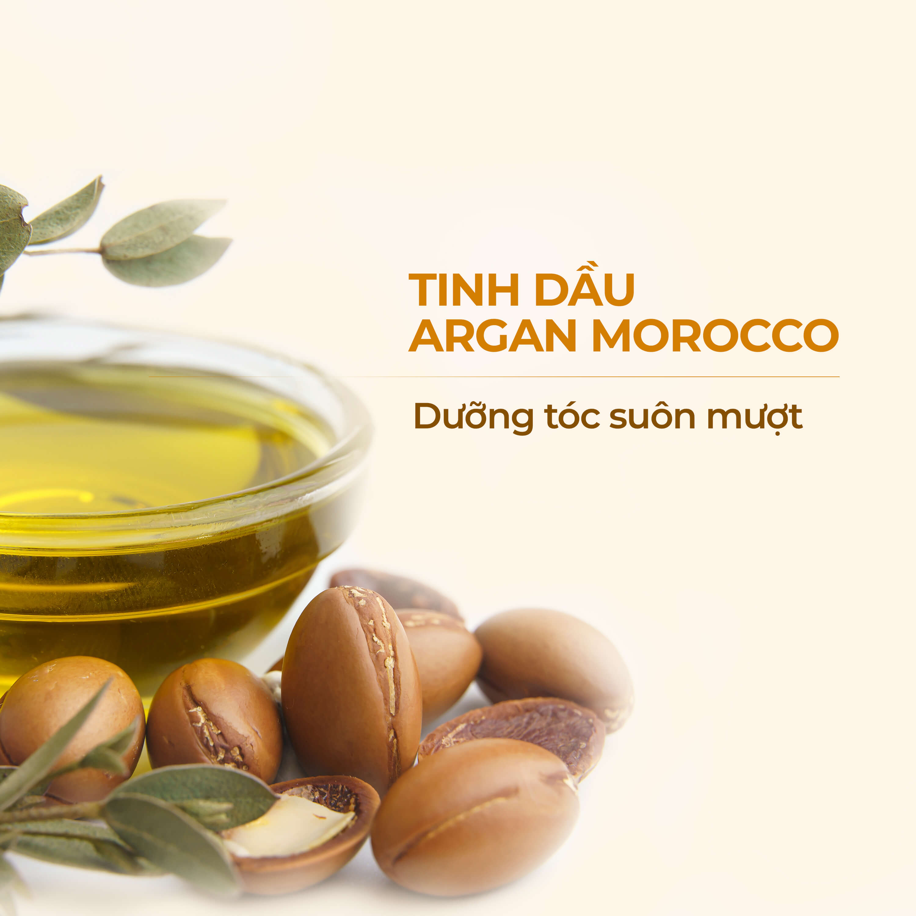 Dầu gội NATUFRÈS Moroccan Secret Tinh Dầu Argan - Ngăn ngừa khô xơ, giúp tóc suôn mượt, mềm mại 250ml,450ml