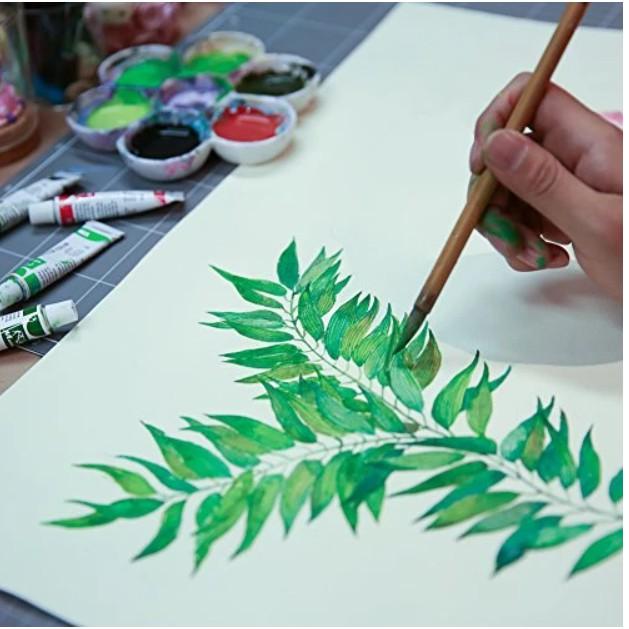 Set 12 ống màu nước Cao cấp vẽ tranh trên Giấy nhanh khô không phai màu Madisi Clolour Paper Painting