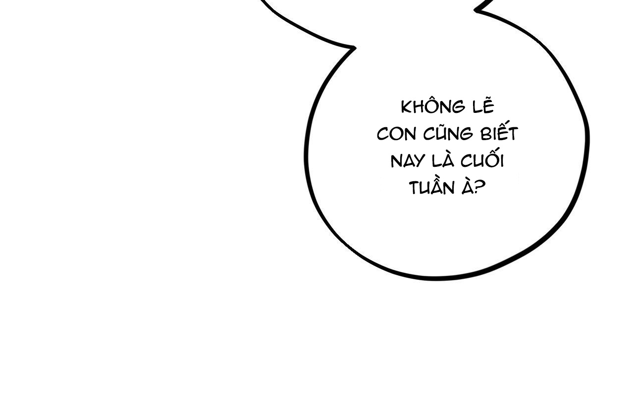 đàn thỏ của habibi chapter 20 218