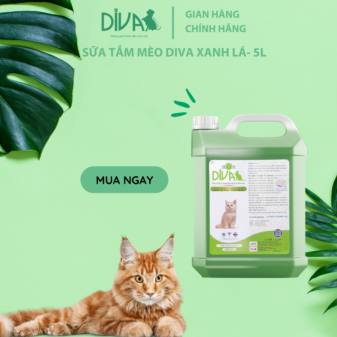 SỮA TẮM MÈO DIVA XANH LÁ 5L (DIVA FORMULA 6)