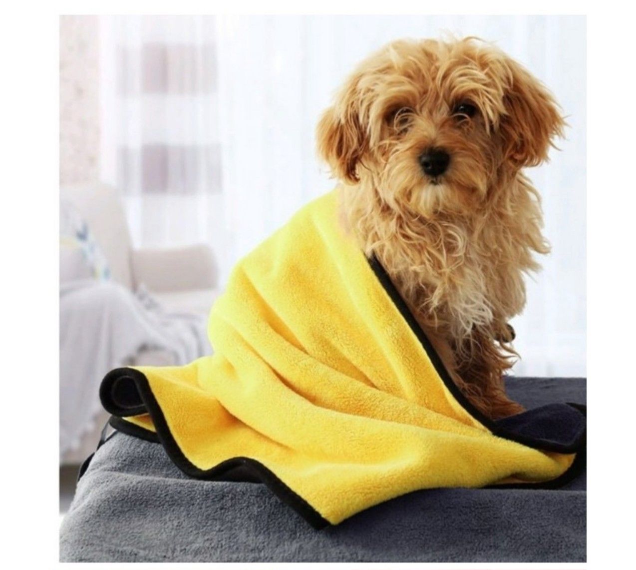 Giao màu ngẫu nhiên - Khăn tắm cho Chó Mèo bằng vải Microfiber cao cấp dày dặn thấm nước nhanh