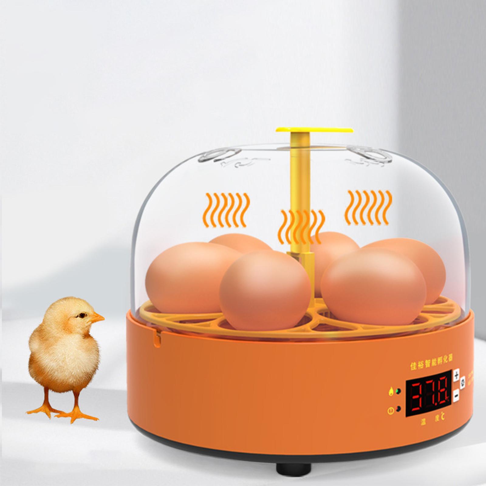 Eggs Incubator Children Temperature Controller Manual Turning Lamp