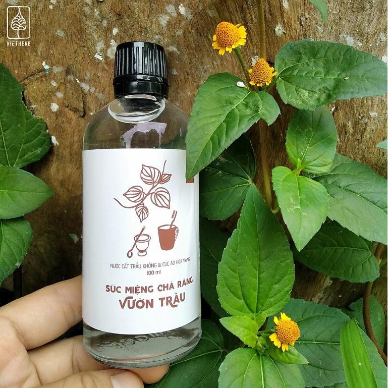 NƯỚC SÚC MIỆNG - CHÀ RĂNG VƯỜN TRẦU (100ml) - VietHerb