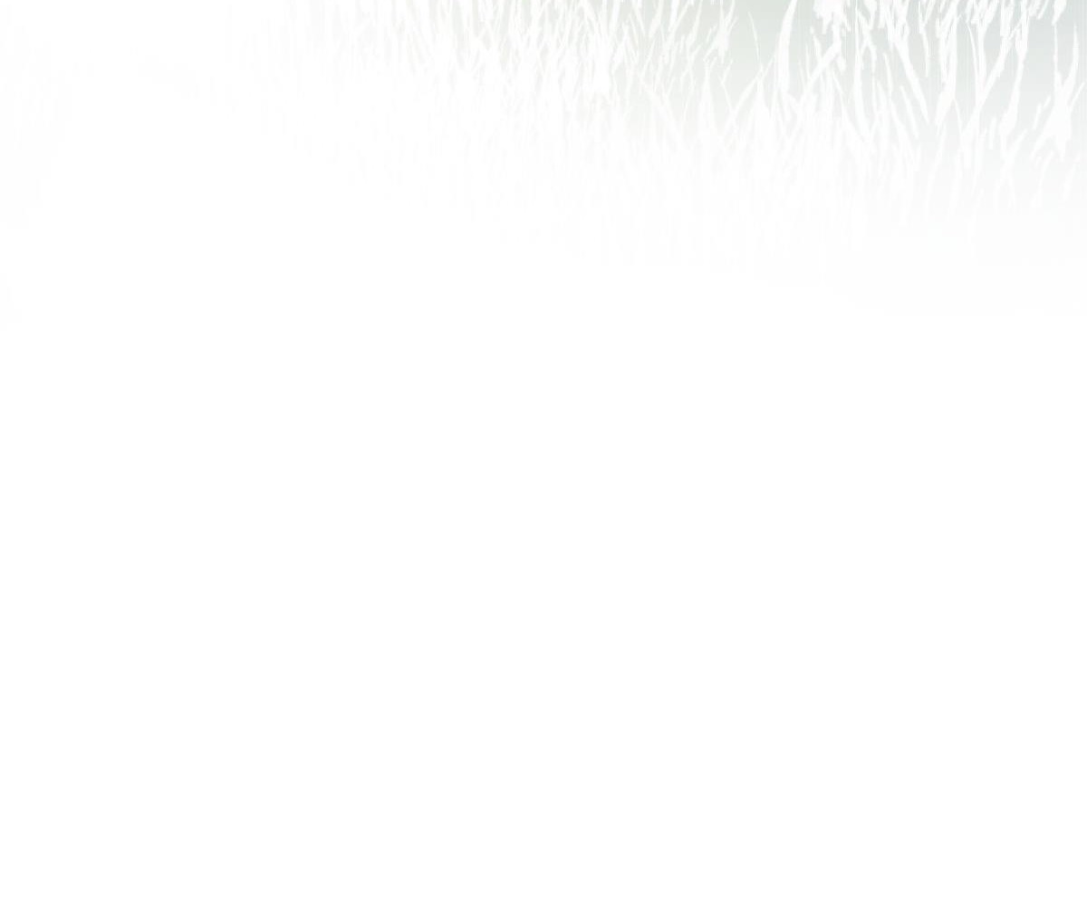 tương phùng chapter 26 195