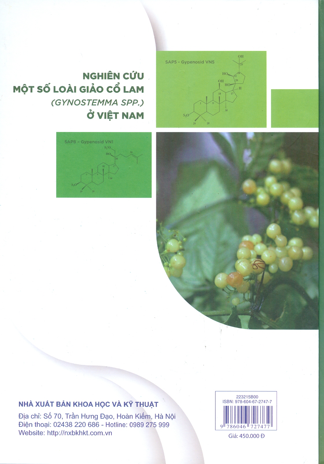 Nghiên Cứu Một Số Loài Giảo Cổ Lam (Gynostemma Spp.) Ở Việt Nam (Bìa cứng, In màu) - GS.TS.NGND. Phạm Thanh Kỳ (Chủ biên), TS. Phan Tuấn Anh, TS. Thân Thị Kiều My, TS. Đinh Thị Thanh Thủy