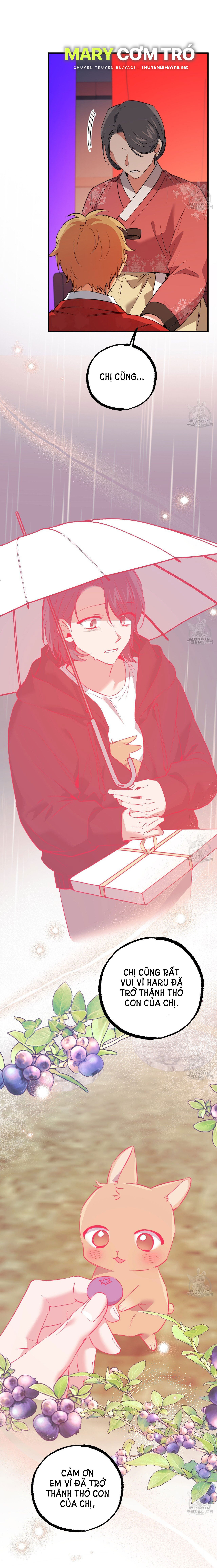 những chú thỏ của hapypy chapter 65.2 27