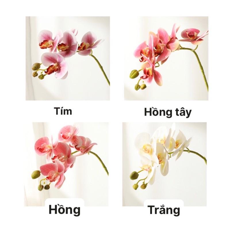 Hoa giả - Cành lan hồ điệp 5 bông nhân tạo chất liệu PU cao cấp, hoa lụa trang trí cao cấp