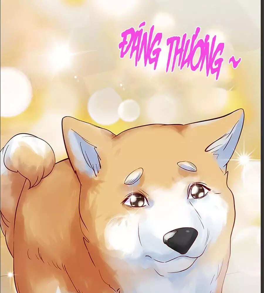 bạn trai 1/4 của tôi chapter 10 147