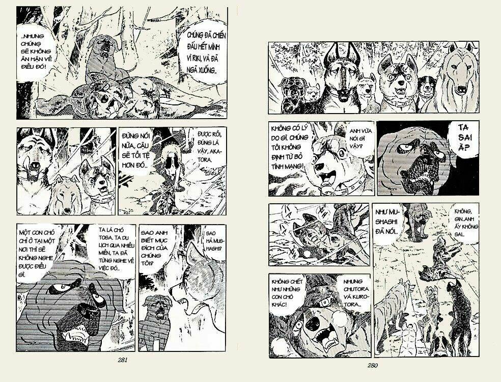 chú chó có nghĩa - ginga nagareboshi gin chapter 23 4