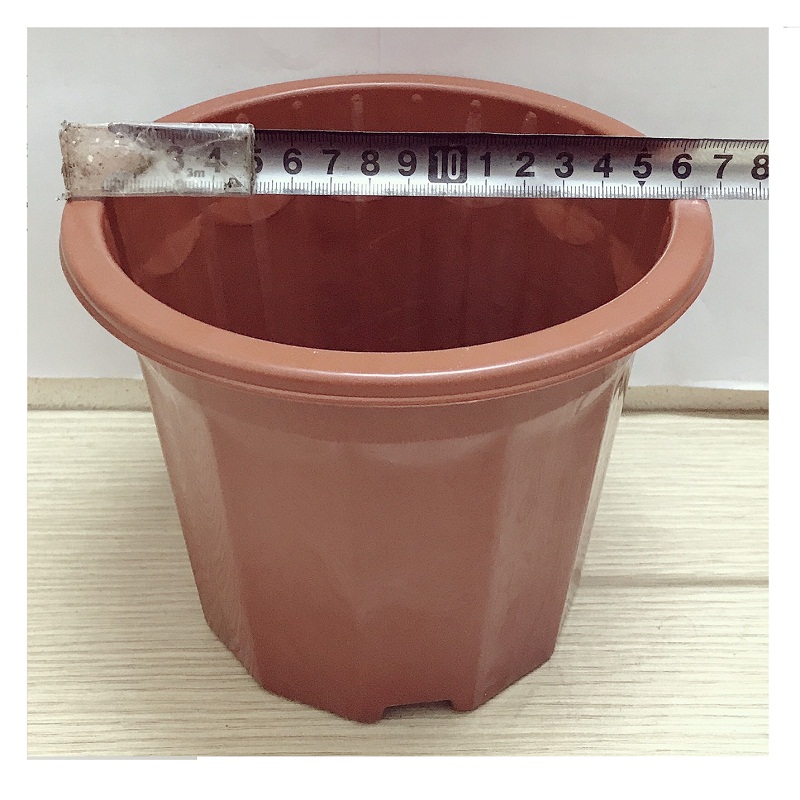 50 Chậu Nhựa Trồng Hoa, Cây Cảnh E230 CN