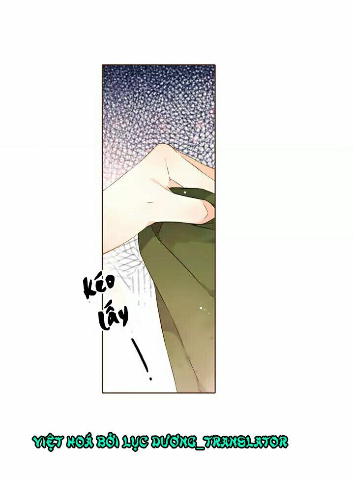 Tình yêu là màu hoa anh thảo chapter 28.1 13