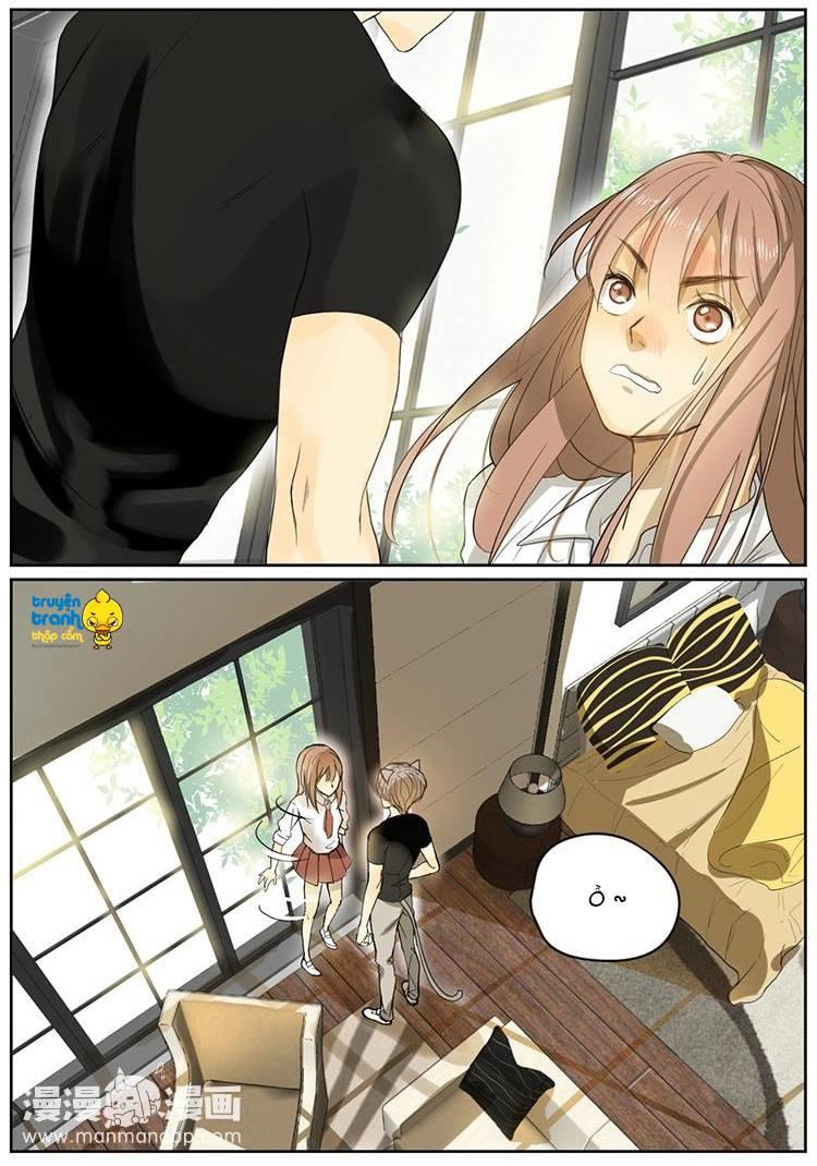 cứu mạng ! loài mèo thống trị thế giới rồi ! chapter 4 6