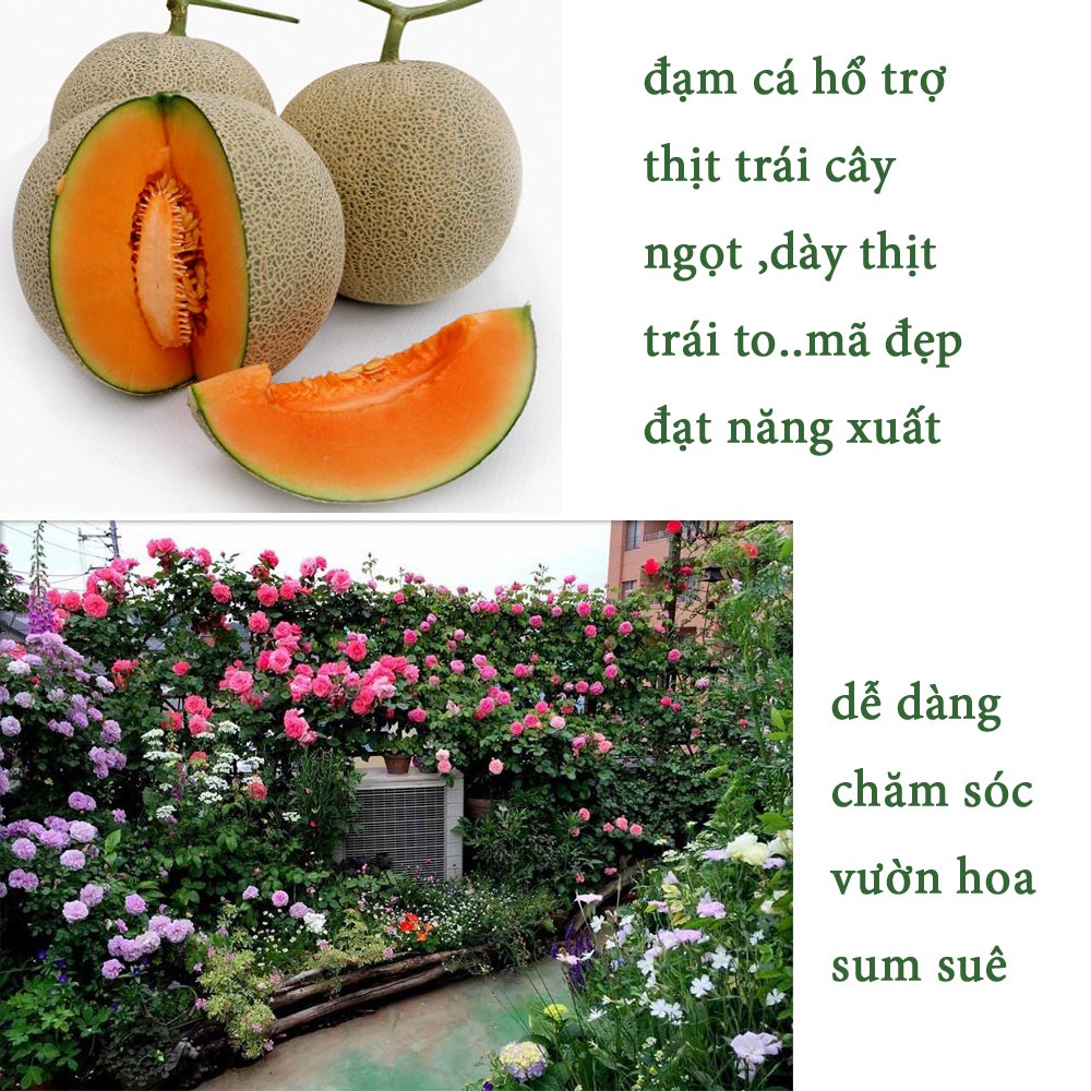 2 Lít - Phân Bón Hữu Cơ, Dịch đạm cá nước ngọt cô đặc, an toàn cho hệ sinh thái-76124