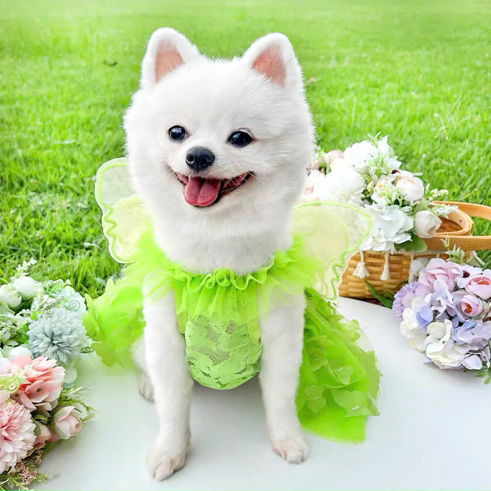 VÁY CÔNG CHÚA THÚ CƯNG CHÓ MÈO DỄ THƯƠNG