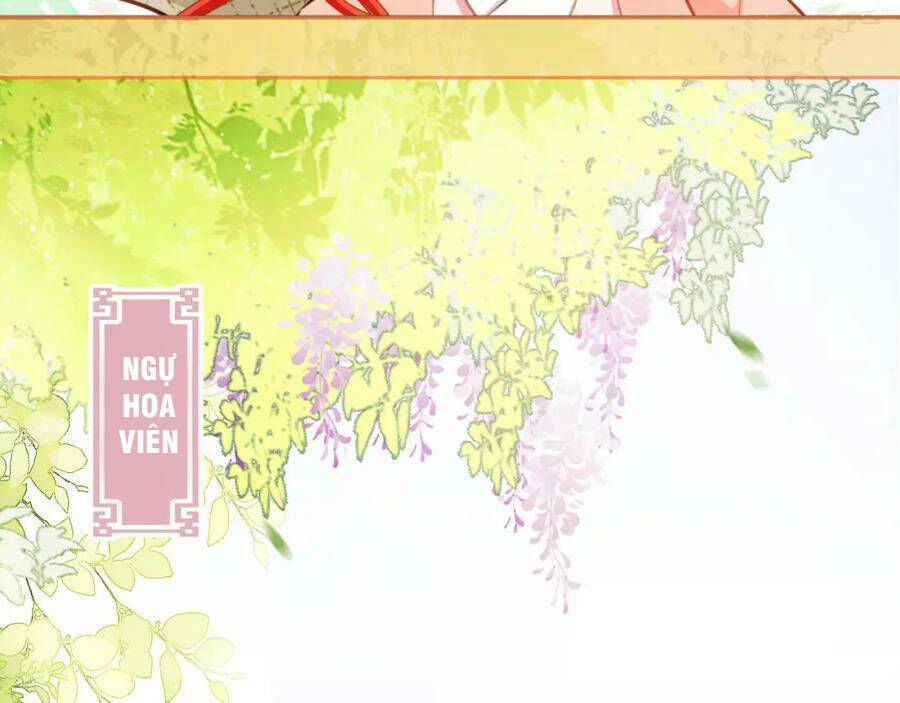 nhặt được bảo bối manh manh chapter 1 62