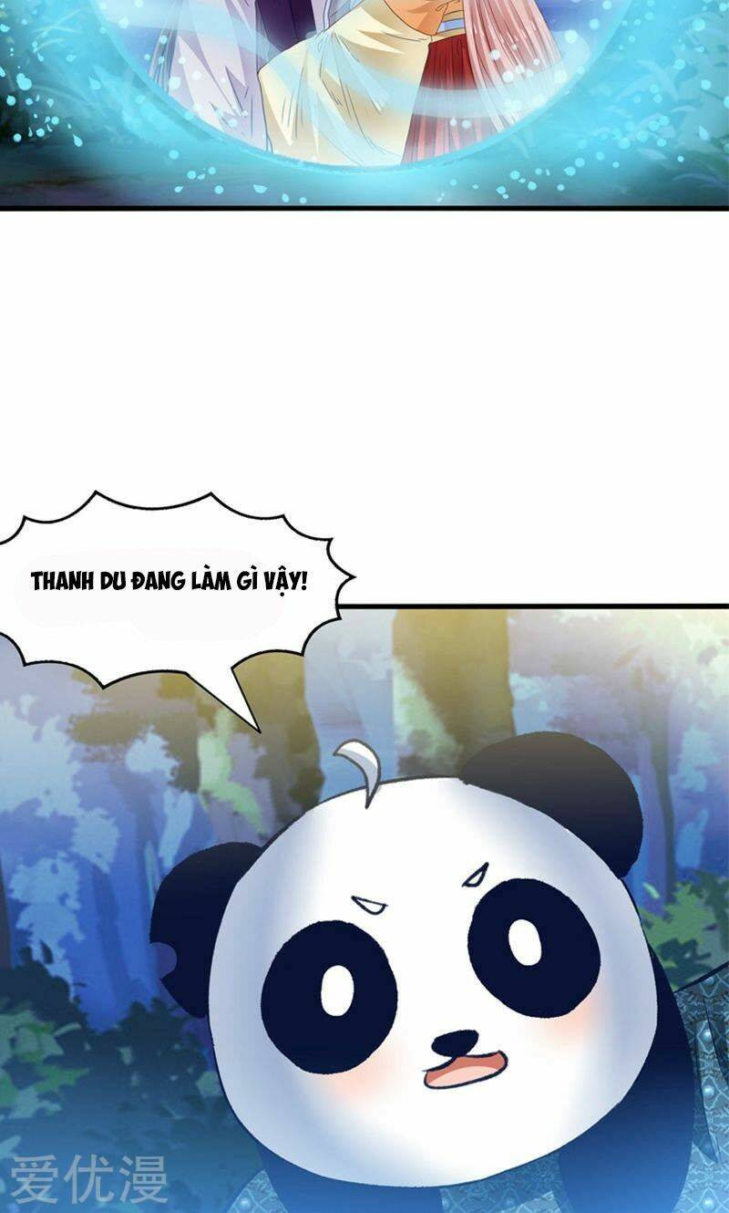 tôi bị gấu trúc nhìn trúng rồi chapter 24 27