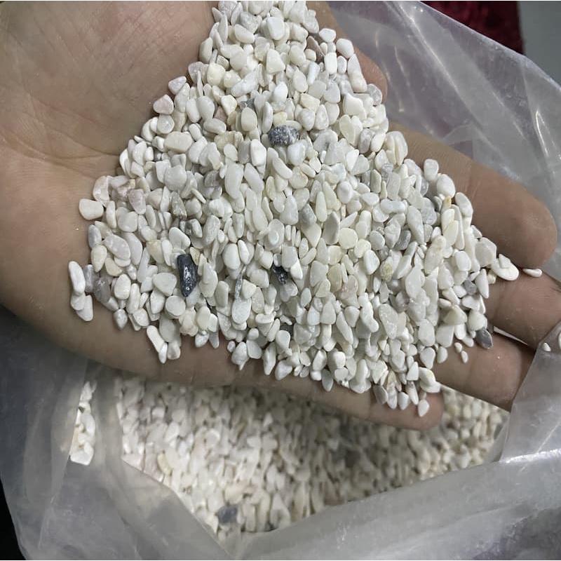 Sỏi Trắng Sữa Tự Nhiên - Trang Trí Bể Cá, Trang Trí Sân Vườn túi 1kg