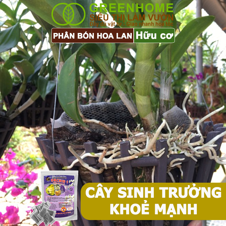 Phân Bón Lan Greenhome, Bao 36 Túi Lưới, Tan Chậm, Không Mùi Hôi, Dưỡng Lan Ra Rễ, Xanh Tốt, Dùng Tốt Cho Sen Đá, Kiểng