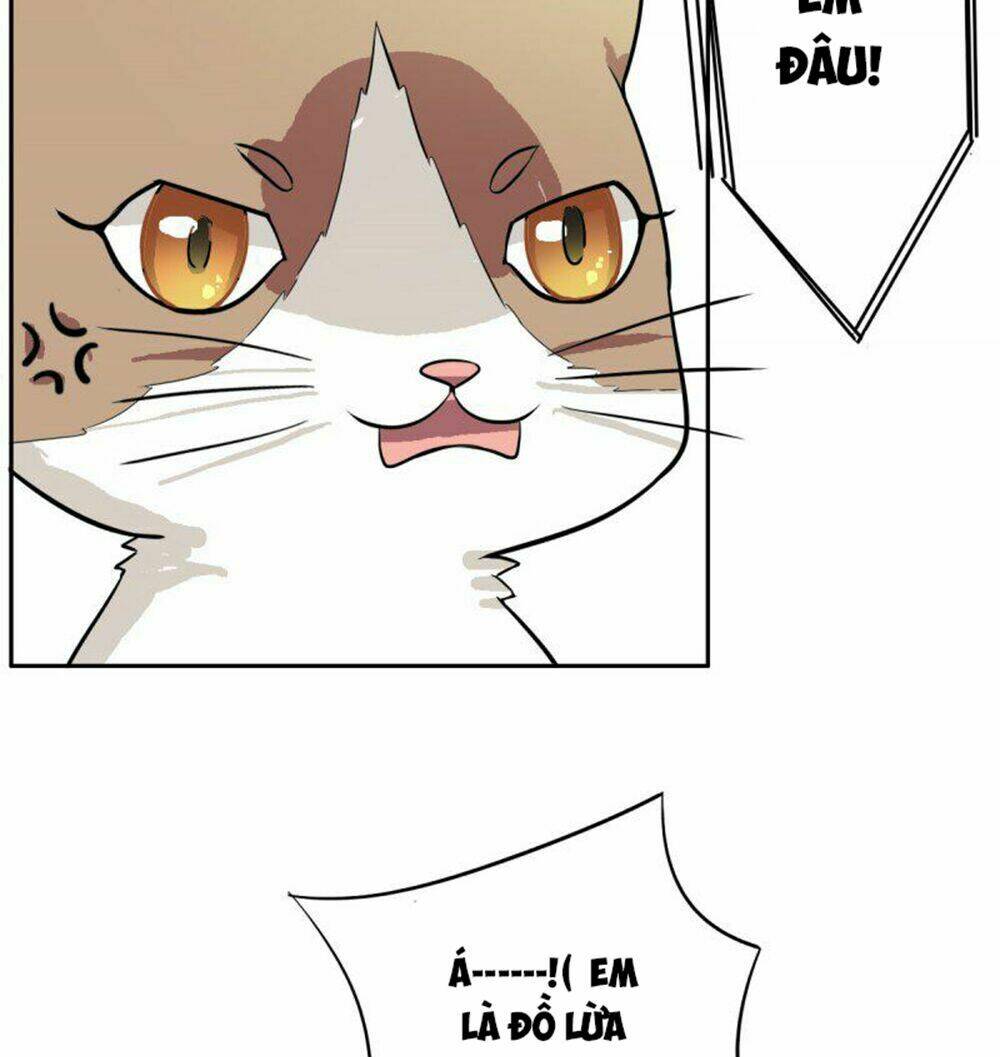 hai chú mèo totem chapter 4 22