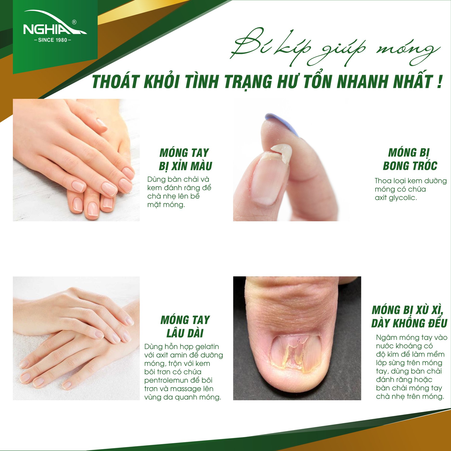 Bấm Móng Tay Chân Thép Không Gỉ KỀM NGHĨA B.904 - Lưỡi Cong