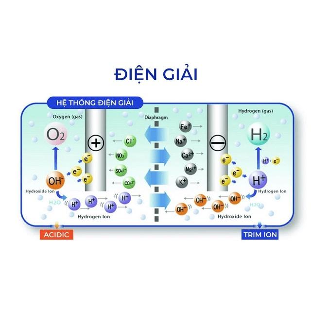 Máy Lọc Nước Điện Giải Ion Kiềm TRIMION GRACIA - 5 tấm điện cực tạo ra 5 loại nước ion, Hàng Chính Hãng