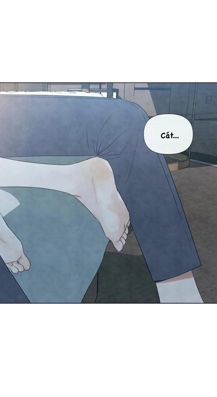 summer solstice point chapter 19 8