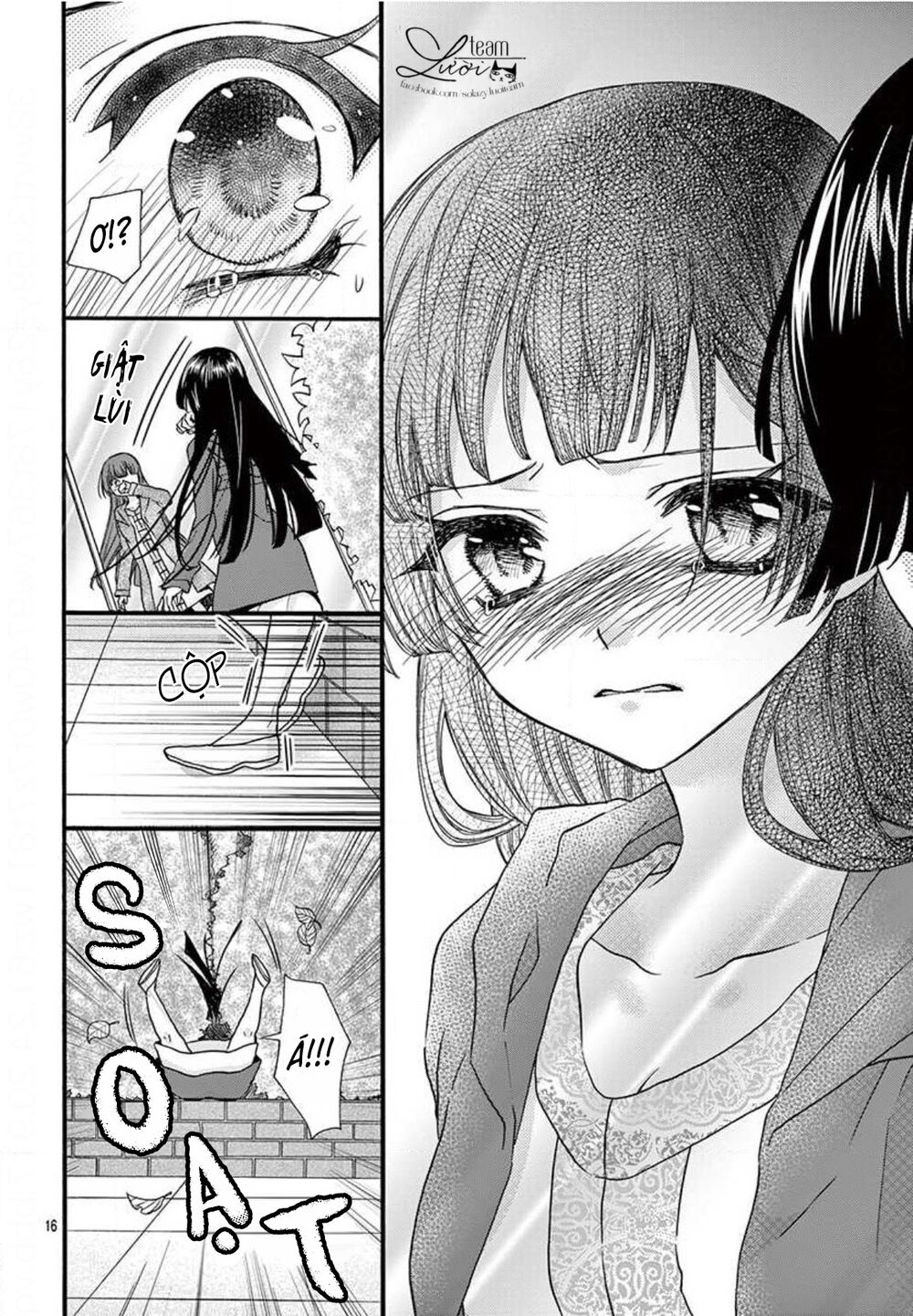 chàng rể giả nhân giả nghĩa chapter 12 16