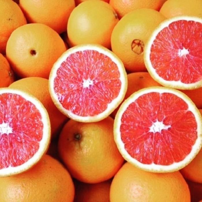 CÂY CAM CARA RUỘT ĐỎ siêu quả, ngọt mát - CÂY GIỐNG CHUẨN F1