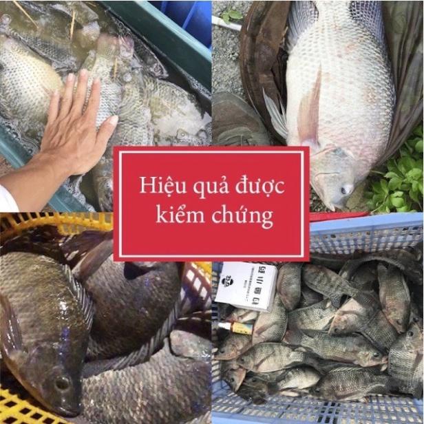 Bình xịt dụ cá Fish Bait, chất dụ mồi câu siêu hút cá, dung dịch tạo mùi thu hút cả đàn cá hàng nhập từ mỹ