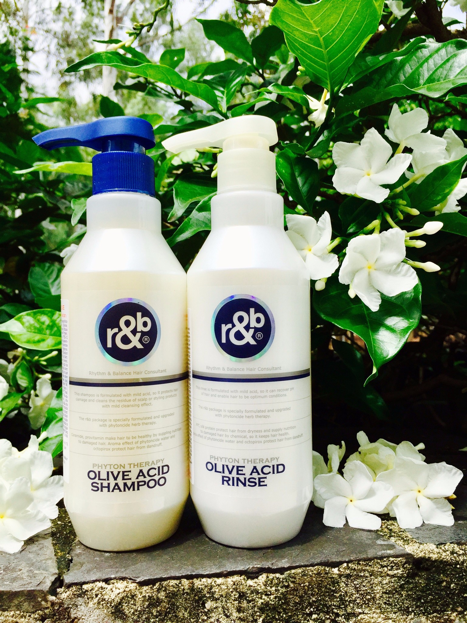 Dầu Gội Phục Hồi Tóc Hư Tổn Giúp Giảm Thiểu Tóc Rụng Và Bạc Sớm R&B Olive Acid Shampoo, Hàn Quốc 450ml