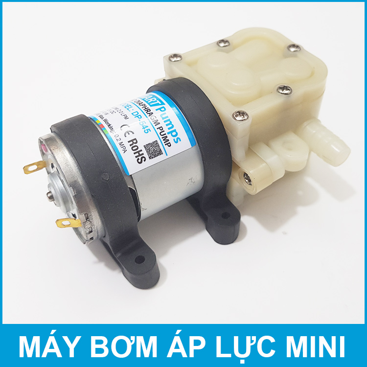 Máy bơm áp lực mini 12V 10W 2L Smartpumps DP-545